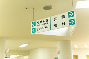 この様な介護が必要な方に